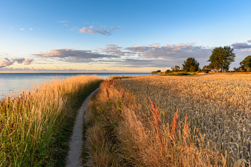 Küstenweg auf Fehmarn